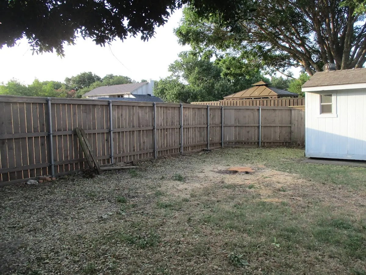 Cleared yard after professional tree removal in Montcalm