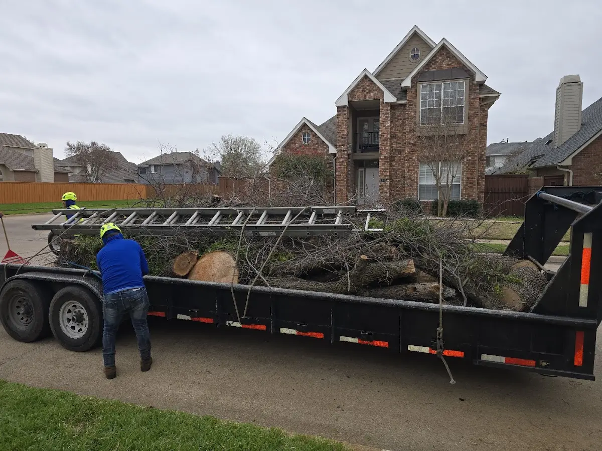 Expert Lot Clearing with proper safety equipment in Montcalm